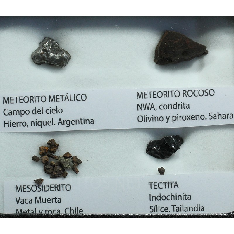 Colección de meteoritos y tectita