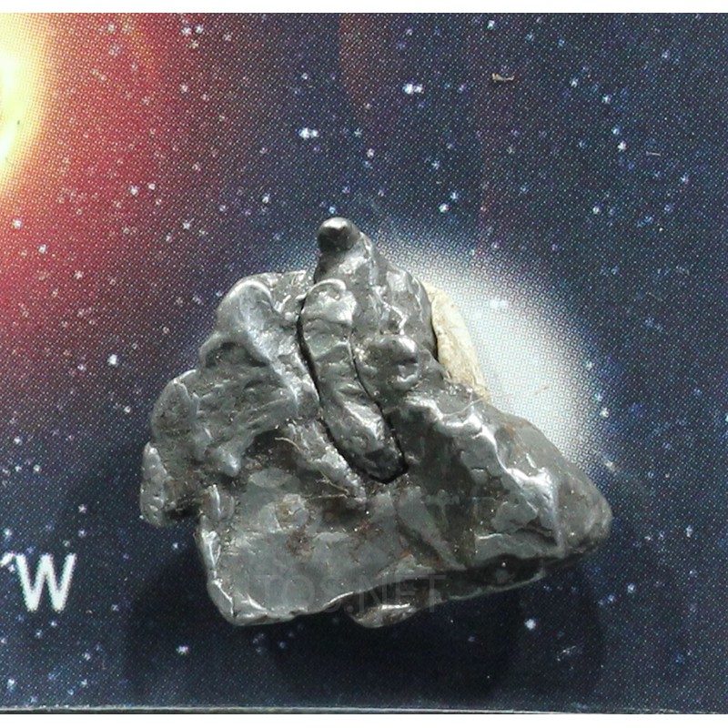 Starborn Campo Del Cielo - Pepita De Meteorito Auténtica (20-30g) Con Soporte Y Certificado
