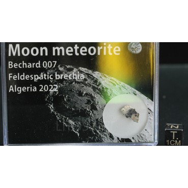 Meteorito lunar, Bechar 007