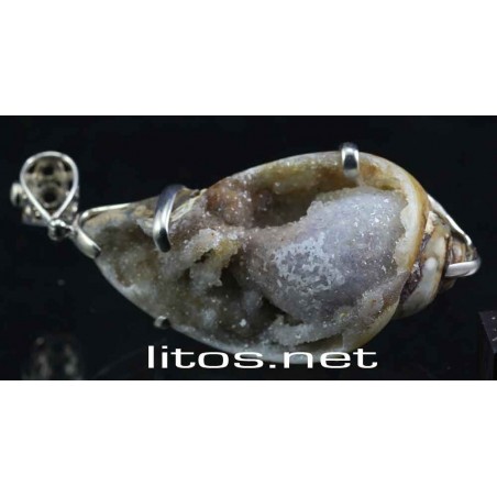 Joyeria Gasterópodo fósil J639 Joyeria Gasterópodo fósil J639