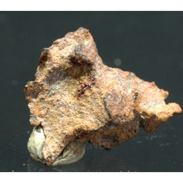 Meteorito Imilac