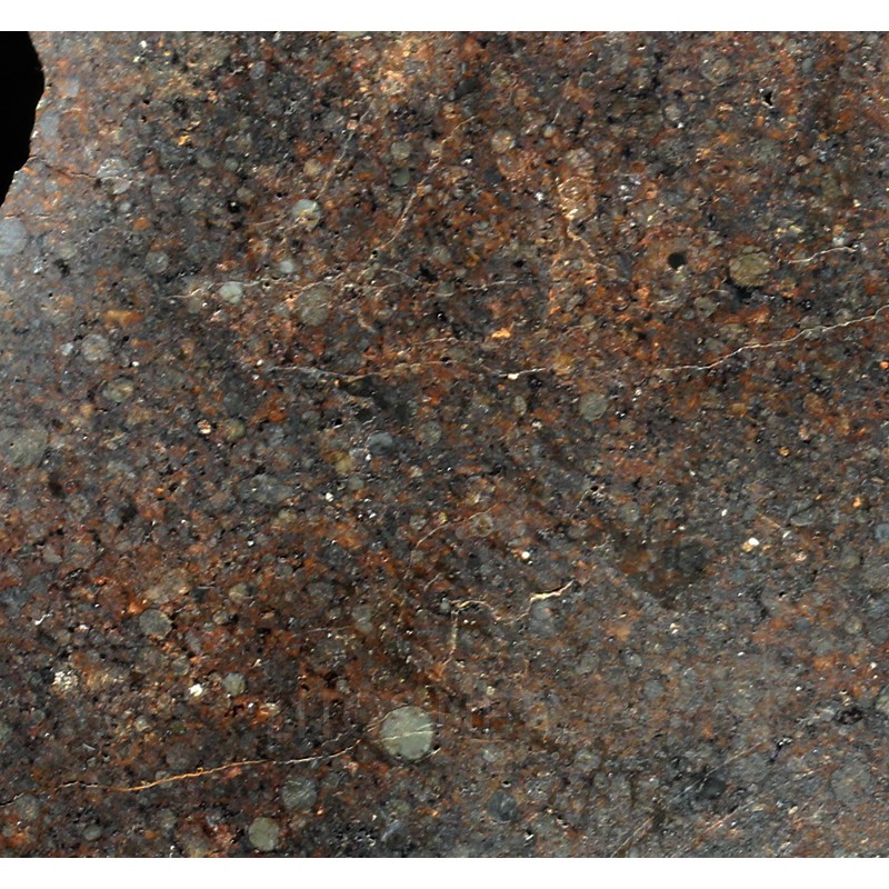 Meteorito NWA