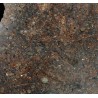 Meteorito NWA