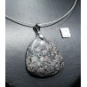 Crinoideo fosil colgante - Litos