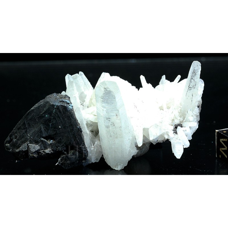 Tetraedrita Tetraedrita