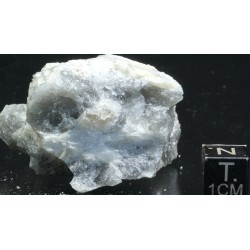 Prismatina