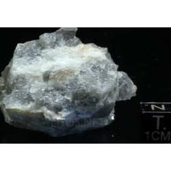 Prismatina