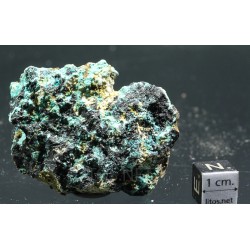 Heterogenita + tirolita