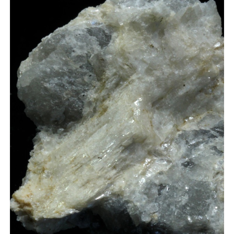 Prismatina