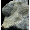 Prismatina