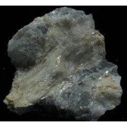 Prismatina
