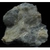 Prismatina