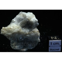 Prismatina
