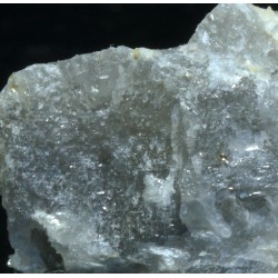 Prismatina