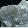 Prismatina