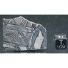 Meteorito Seymchan