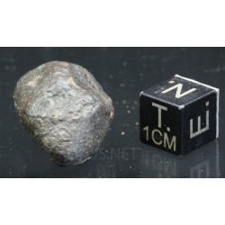 Meteorito NWA