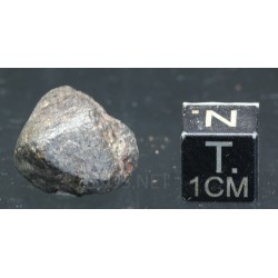 Meteorito NWA