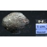 Meteorito NWA