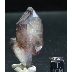 Amatista cetro