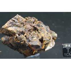Cacoxeno