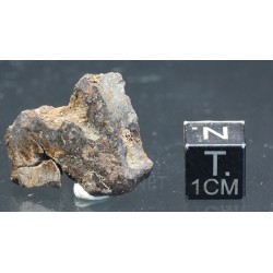 Meteorito Vaca Muerta mesosiderito  -