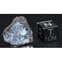 Meteorito Vaca Muerta mesosiderito  -