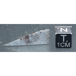 Meteorito metálico muonionalusta