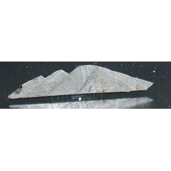 Meteorito metálico muonionalusta