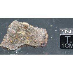 Meteorito Vaca Muerta mesosiderito  -