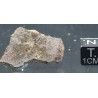 Meteorito Vaca Muerta mesosiderito  -