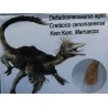 Diente de deltadromeosaurus-agilis
