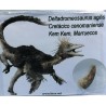 Diente de deltadromeosaurus-agilis