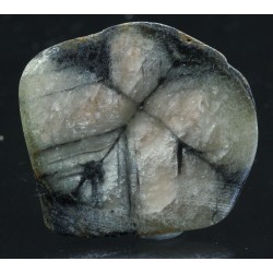 Mineral quiastolita