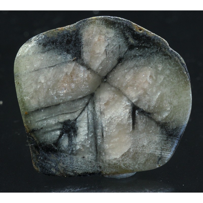 Mineral quiastolita Mineral quiastolita