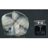 Mineral quiastolita