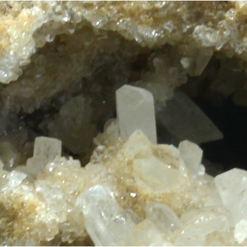 Celestina Celestina