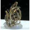 Plata nativa mineral