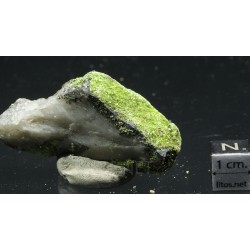 Autunita
