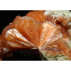 Estilbita