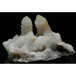 Amatista cactus