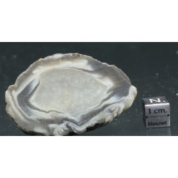 Ágata lemuriana