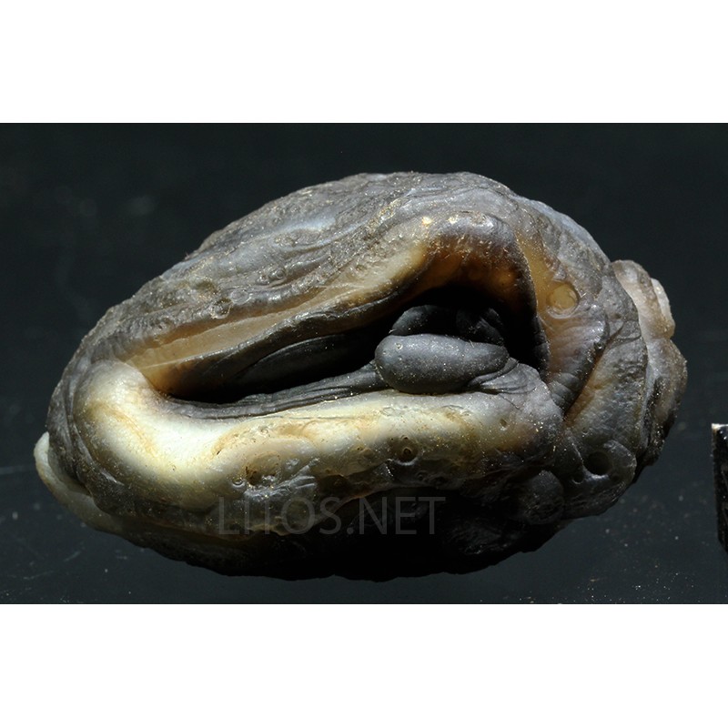 Ágata lemuriana Ágata lemuriana