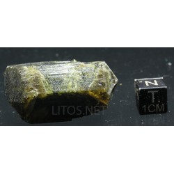 Epidota