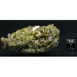 Clinozoisita
