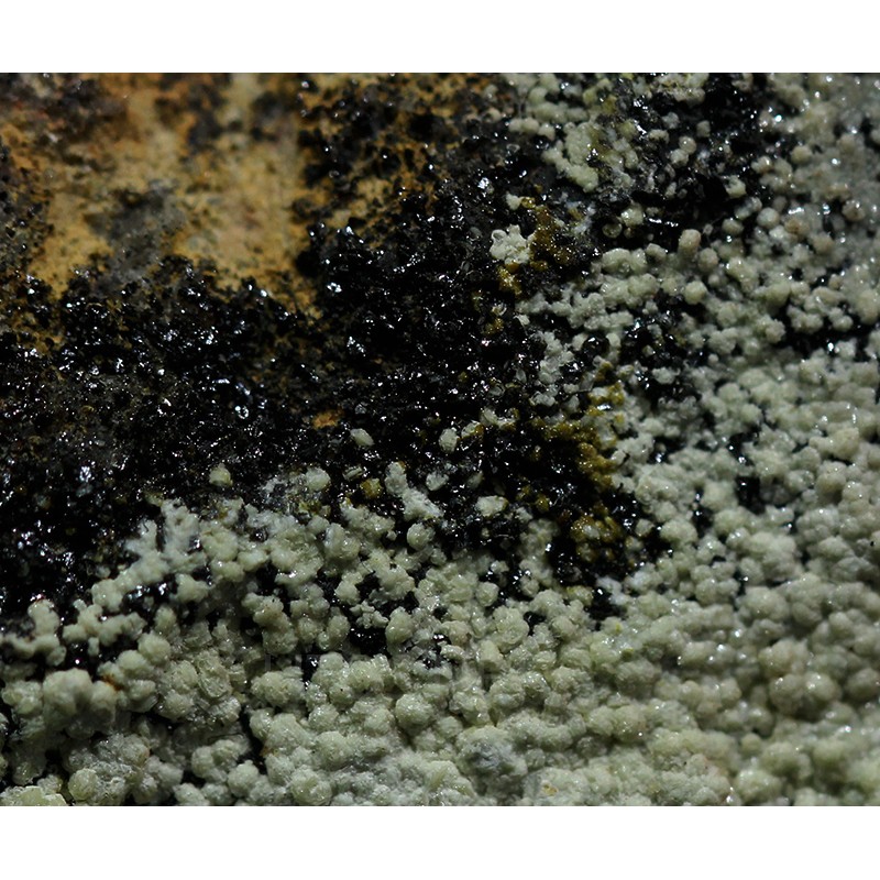 Mimetita Mimetita