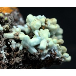 Plumbogummita