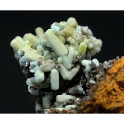 Plumbogummita
