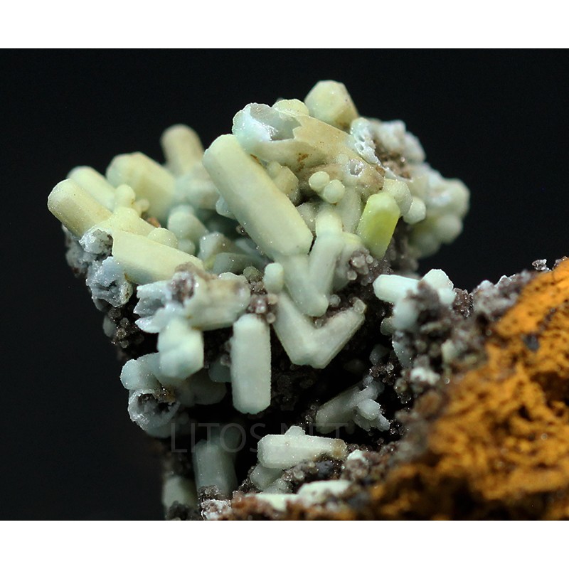 Plumbogummita