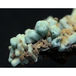 Plumbogummita